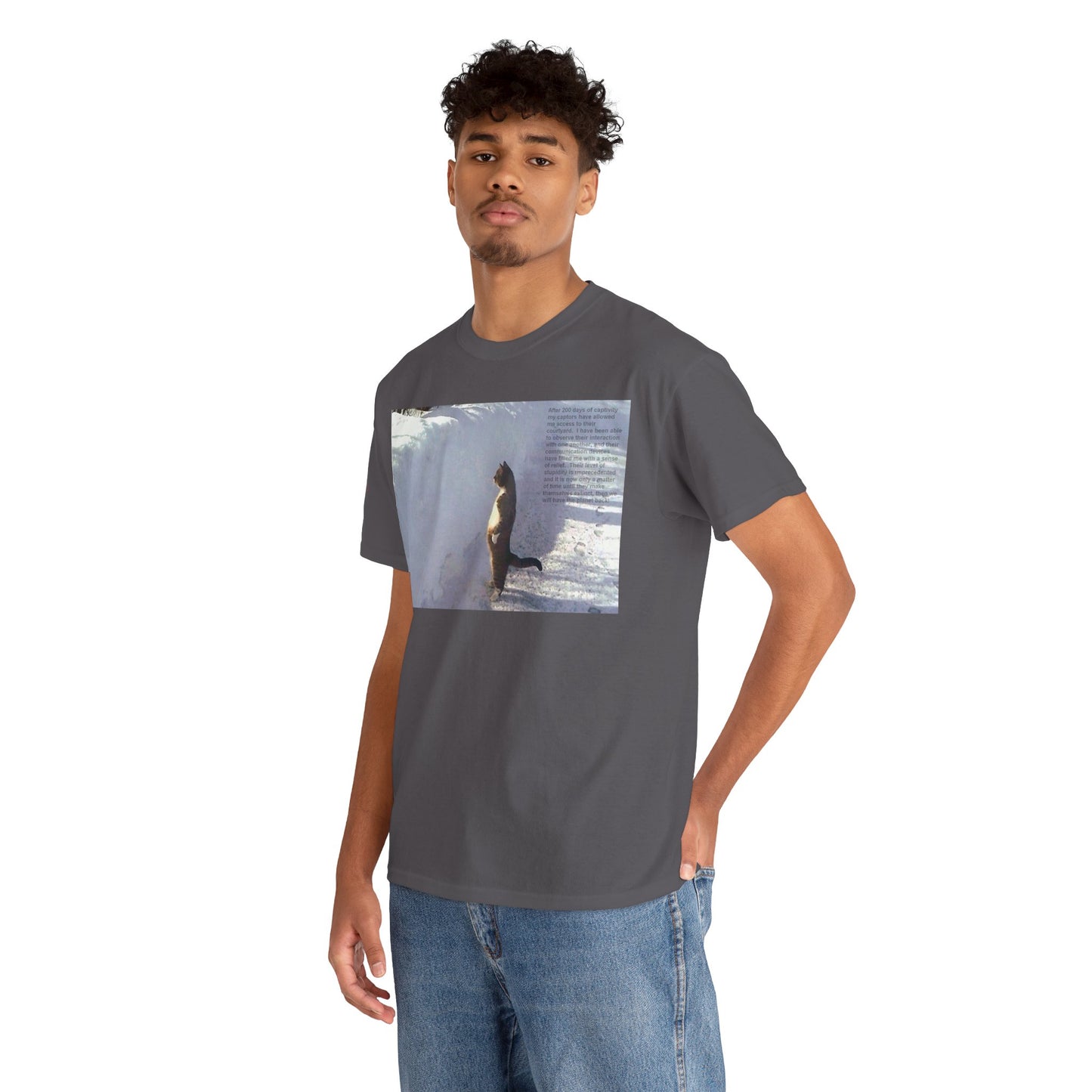 Men's or Women's Wisdom of Cats #2 T-Shirt