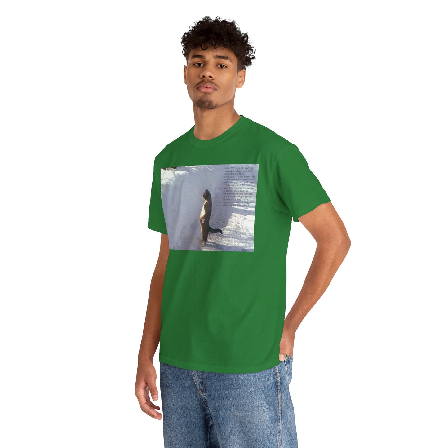 Men's or Women's Wisdom of Cats #2 T-Shirt