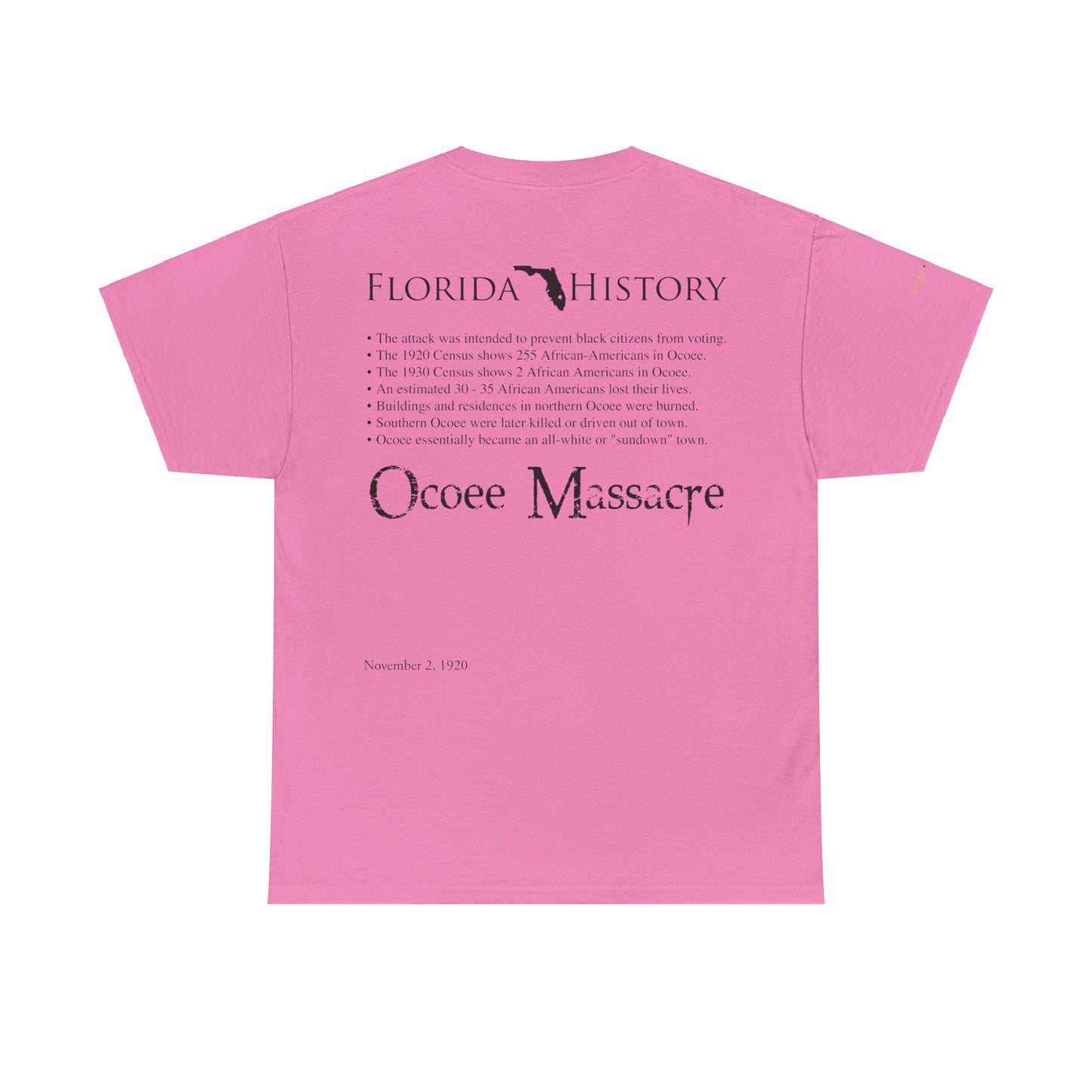 Men's or Women's Florida History - Ocoee Massacre T-Shirt