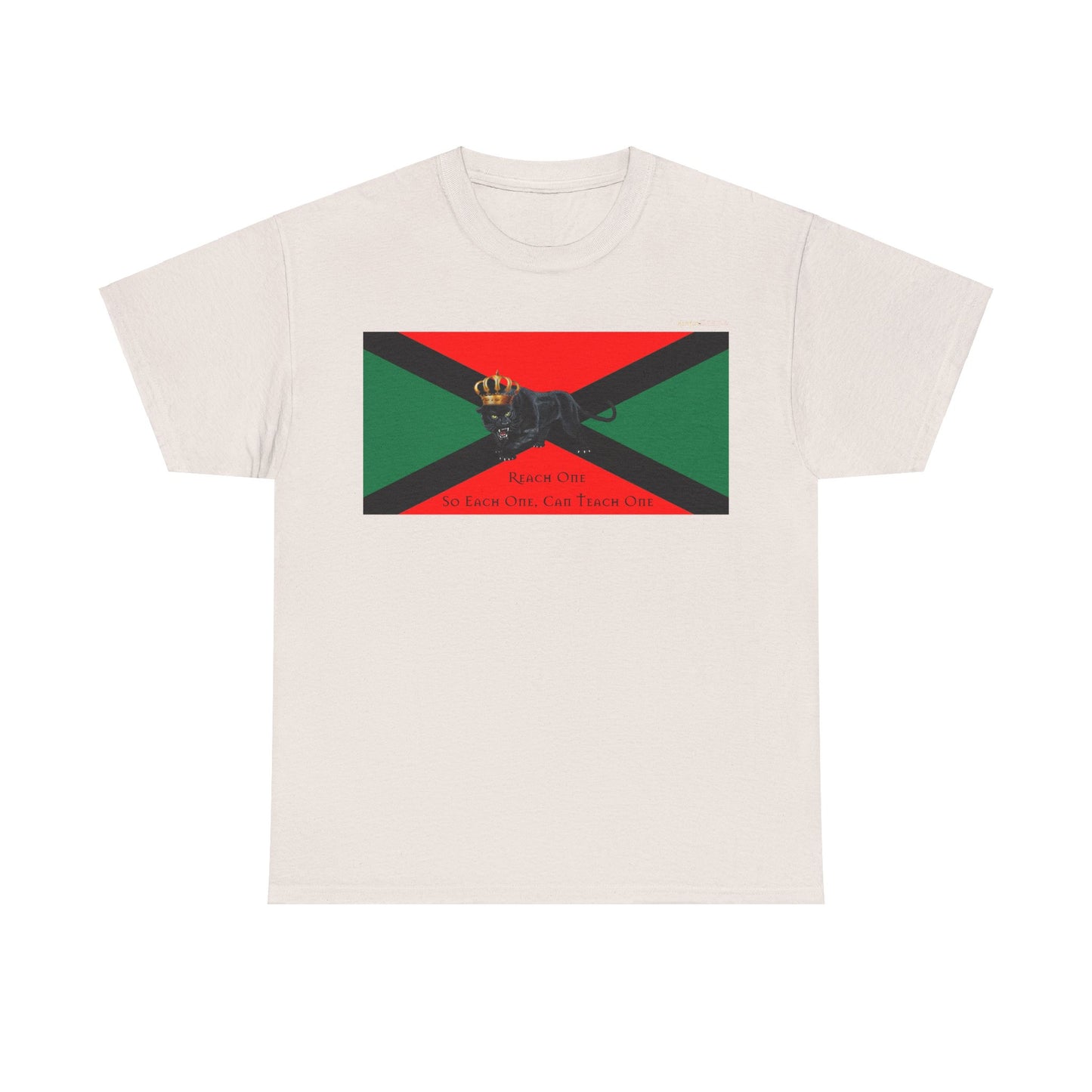 Men's or Women's Unity T-Shirt