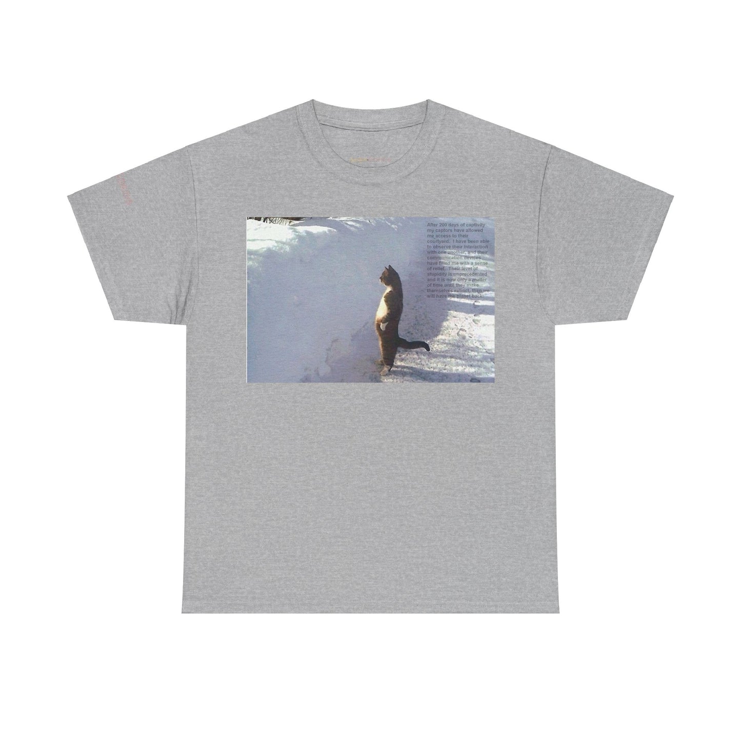 Men's or Women's Wisdom of Cats #2 T-Shirt
