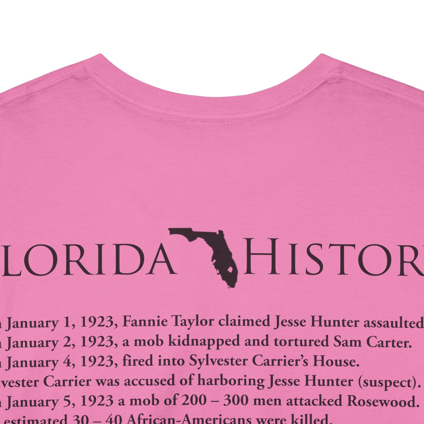 Men's or Women's Florida History - Rosewood Massacre T-Shirt