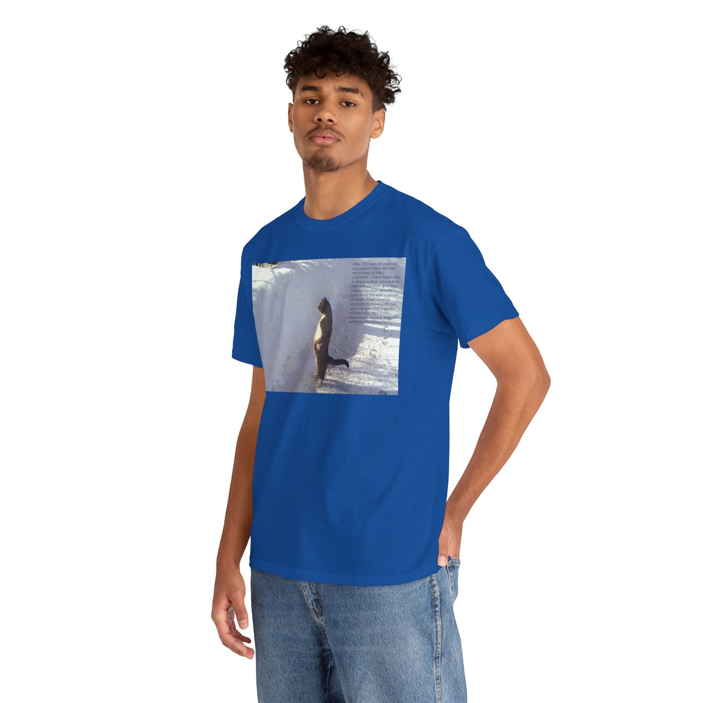 Men's or Women's Wisdom of Cats #2 T-Shirt
