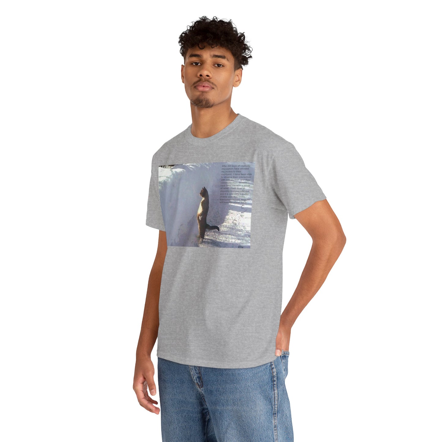 Men's or Women's Wisdom of Cats #2 T-Shirt