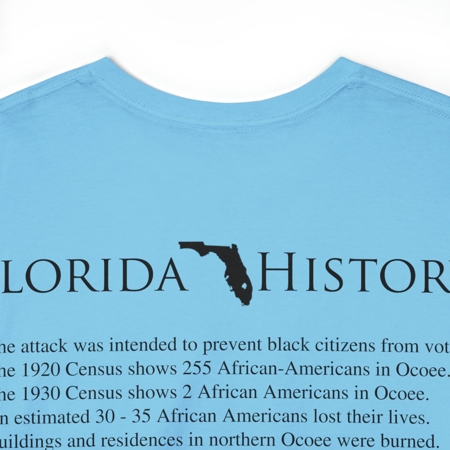 Florida History - Ocoee Massacre T-Shirt