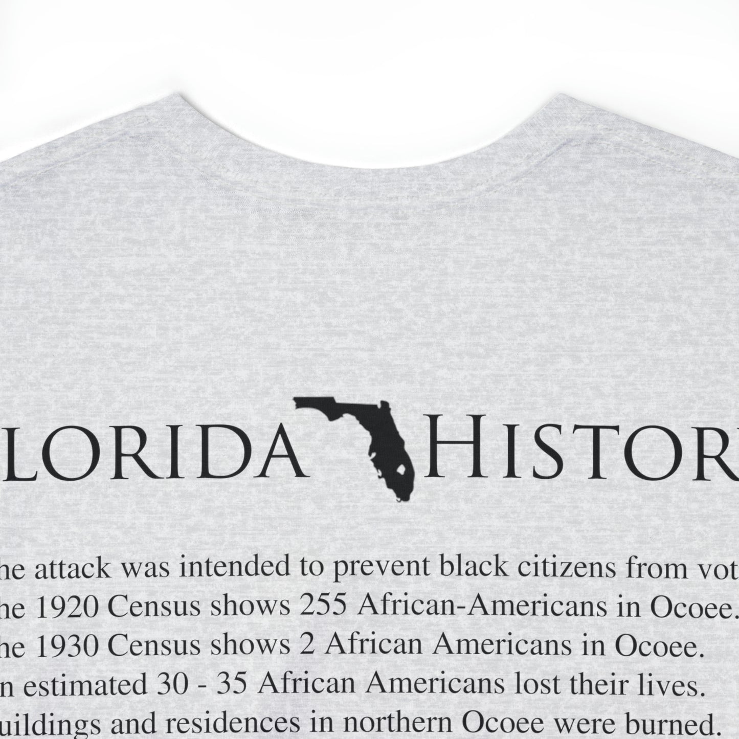 Florida History - Ocoee Massacre T-Shirt