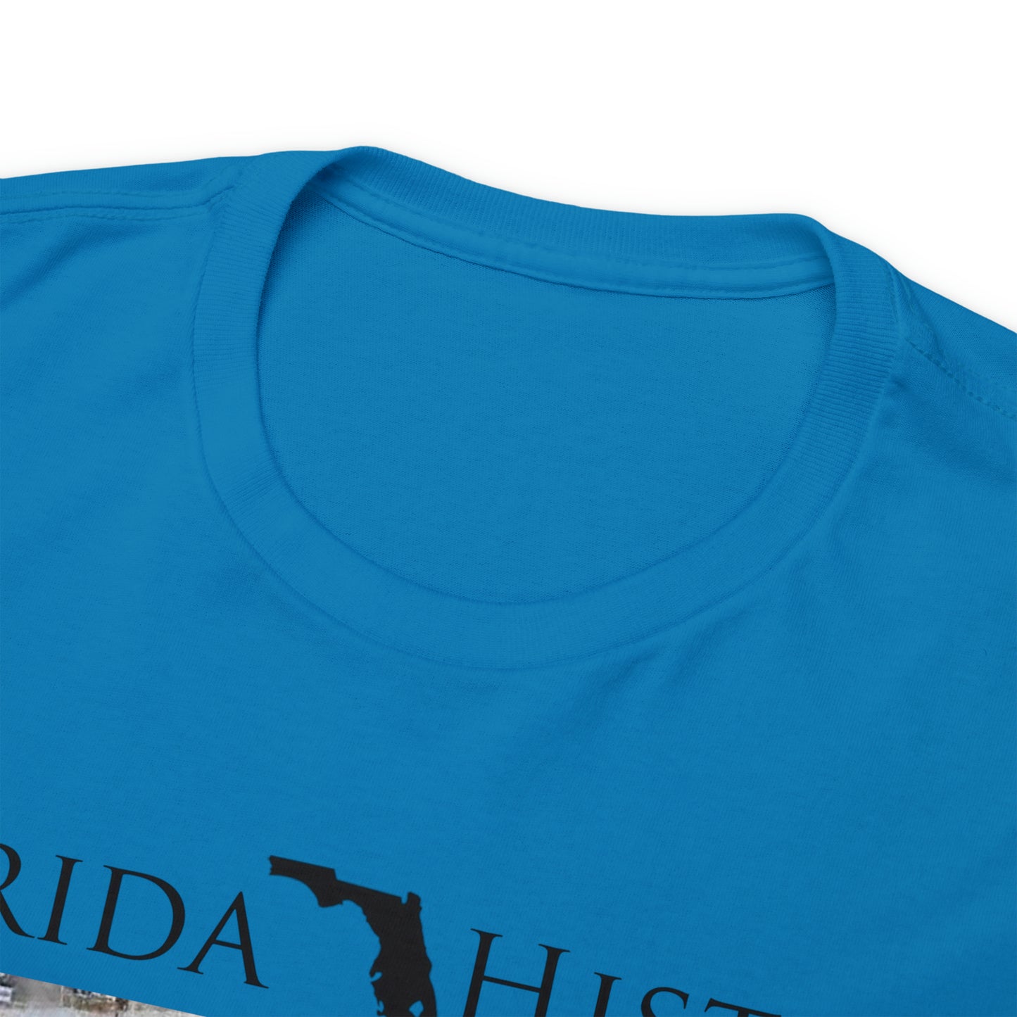 Florida History - Rubin Stacy T-Shirt