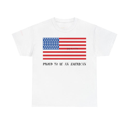 Men's or Women's American Independence T-Shirt (Light)