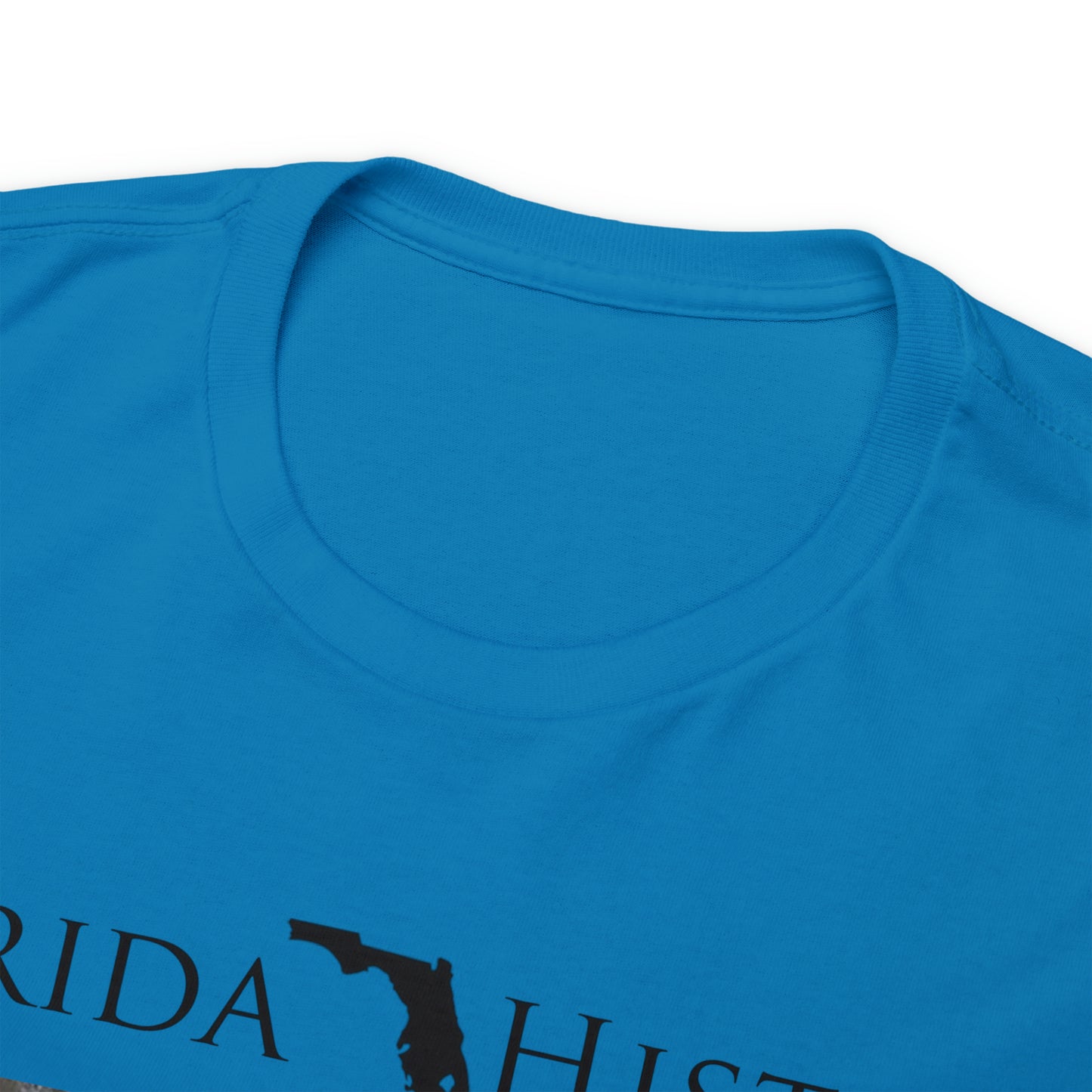 Florida History - Ocoee Massacre T-Shirt