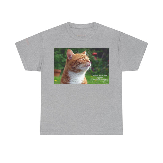 Men's or Women's Wisdom of Cats #1 T-Shirt