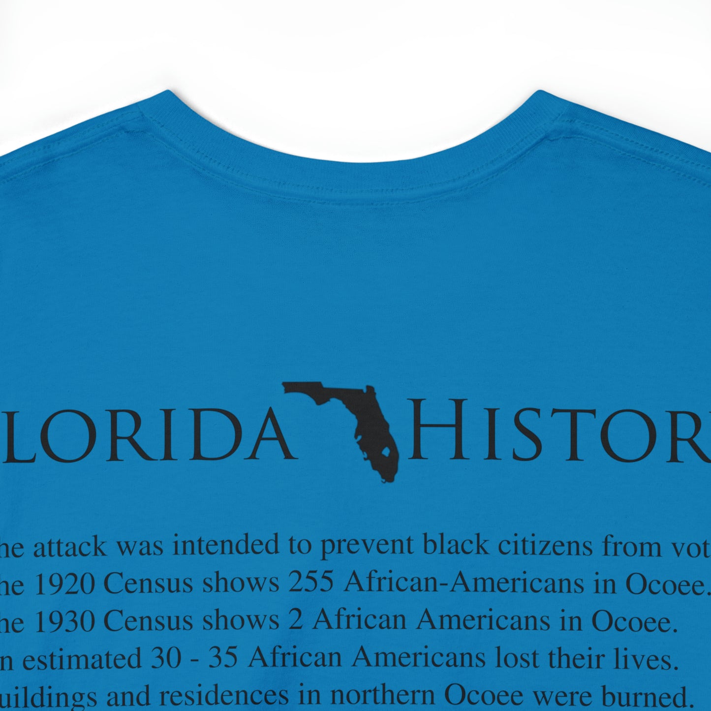 Florida History - Ocoee Massacre T-Shirt