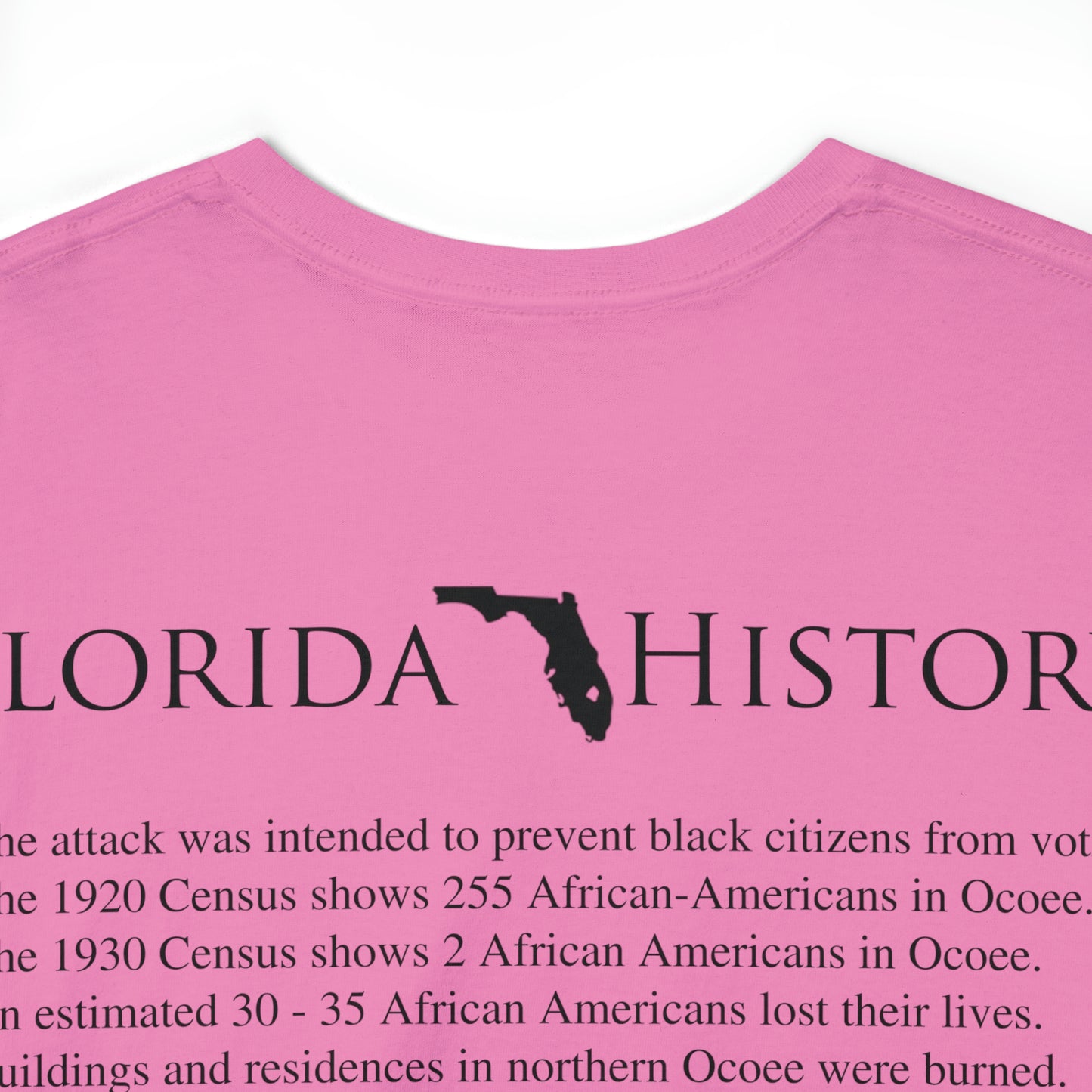 Florida History - Ocoee Massacre T-Shirt