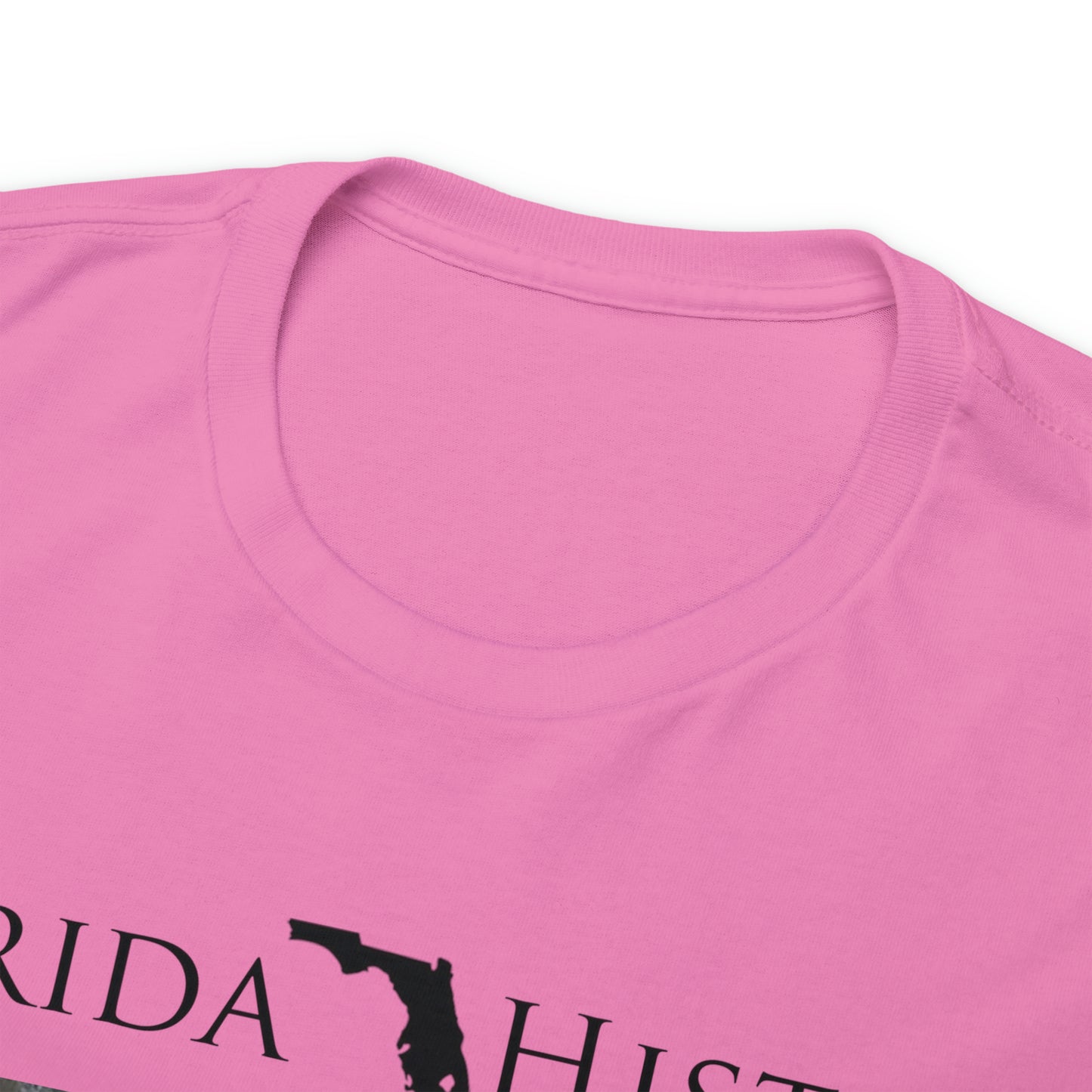 Florida History - Ocoee Massacre T-Shirt