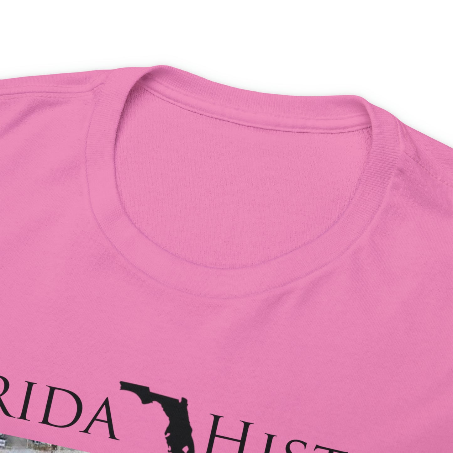 Florida History - Rubin Stacy T-Shirt