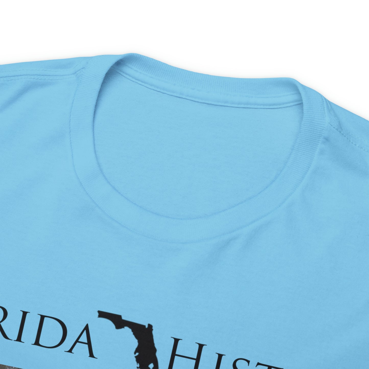 Florida History - Ocoee Massacre T-Shirt