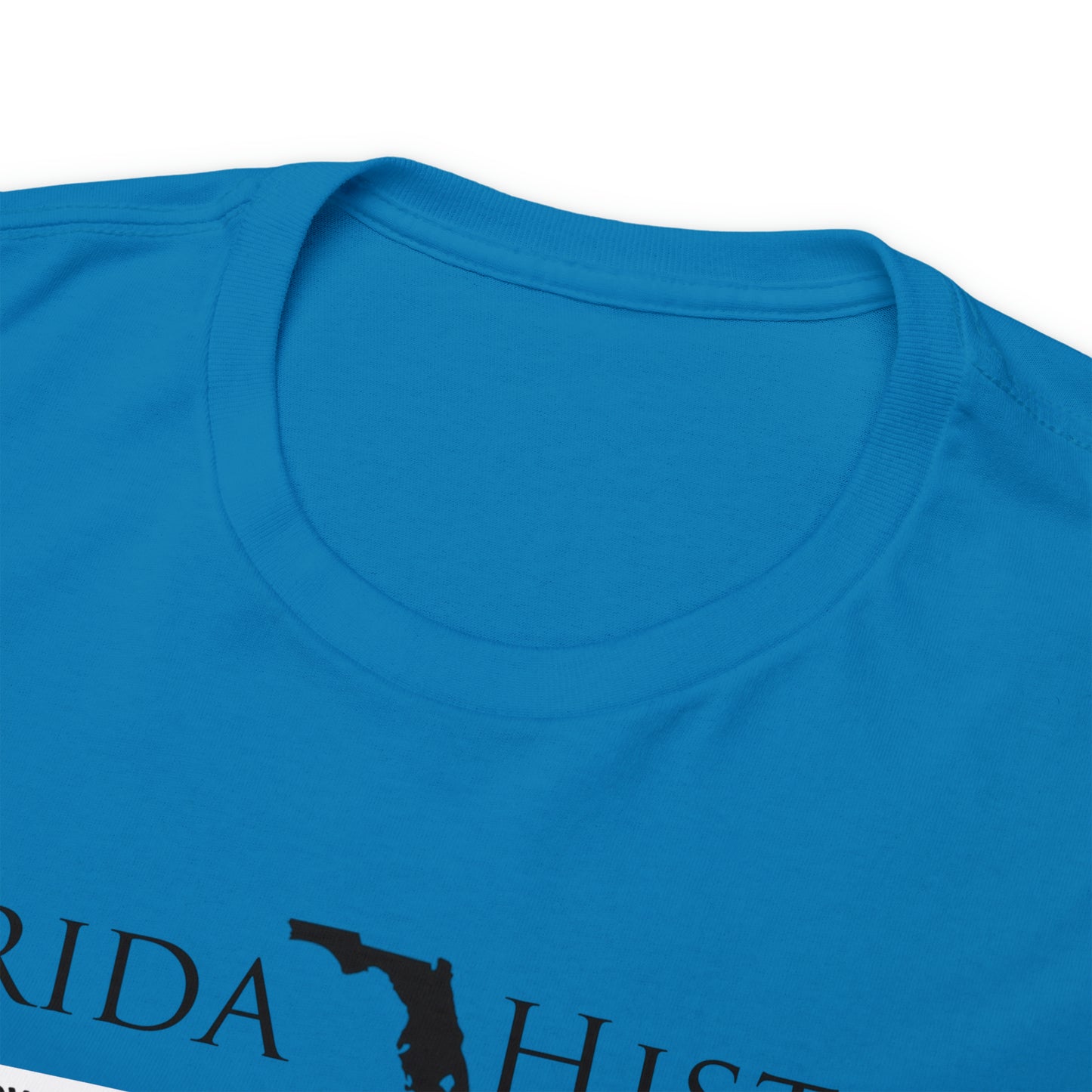 Florida History - Rosewood Massacre T-Shirt