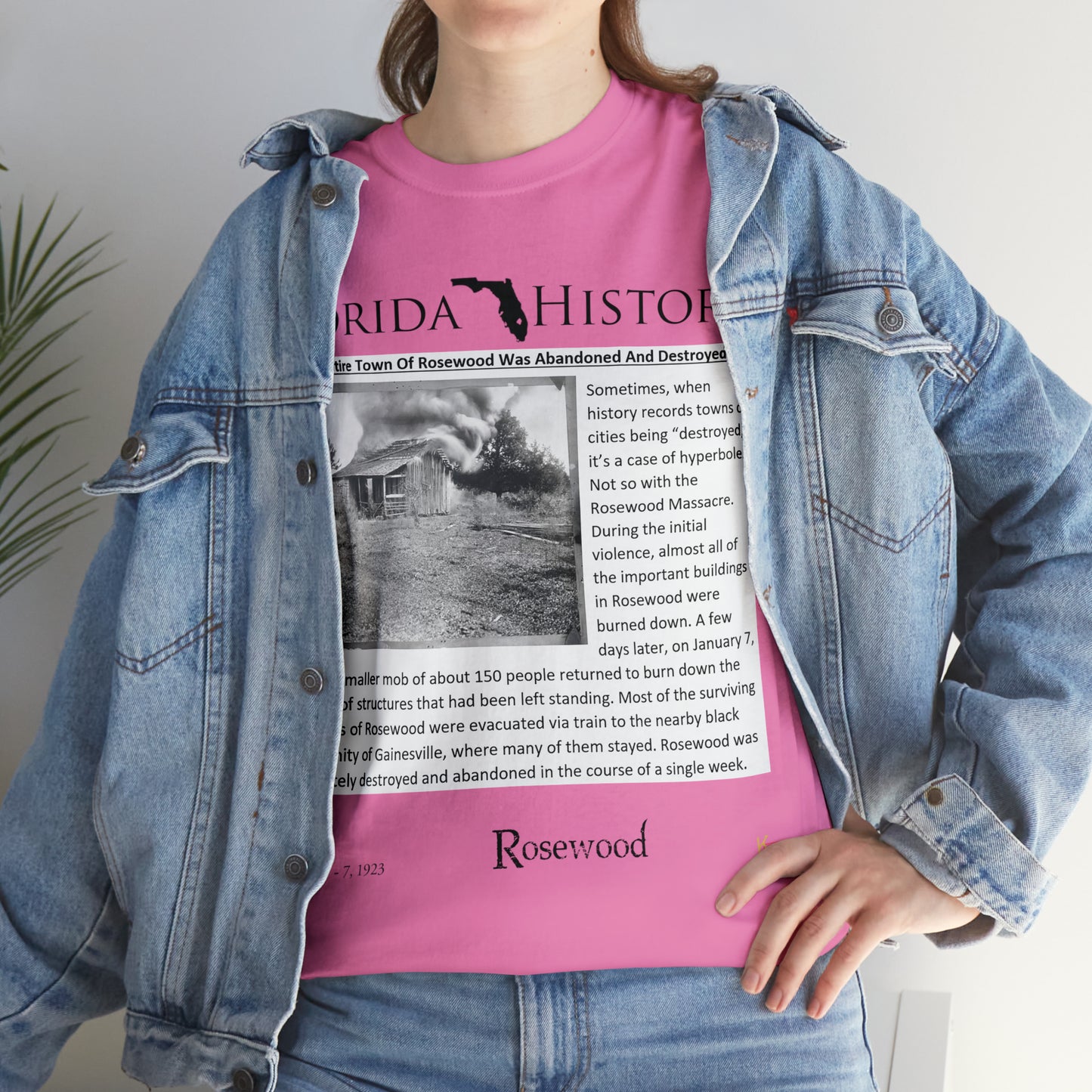 Florida History - Rosewood Massacre T-Shirt