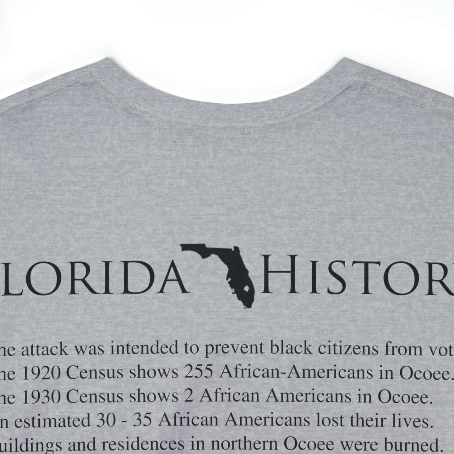 Florida History - Ocoee Massacre T-Shirt