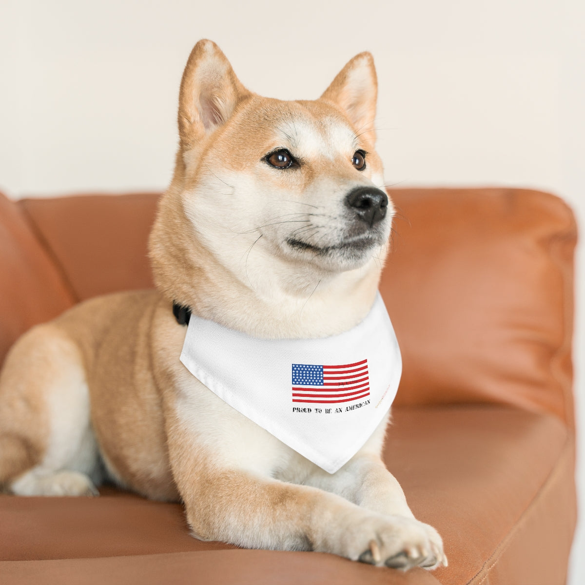 American Independence Pet Bandana Collar