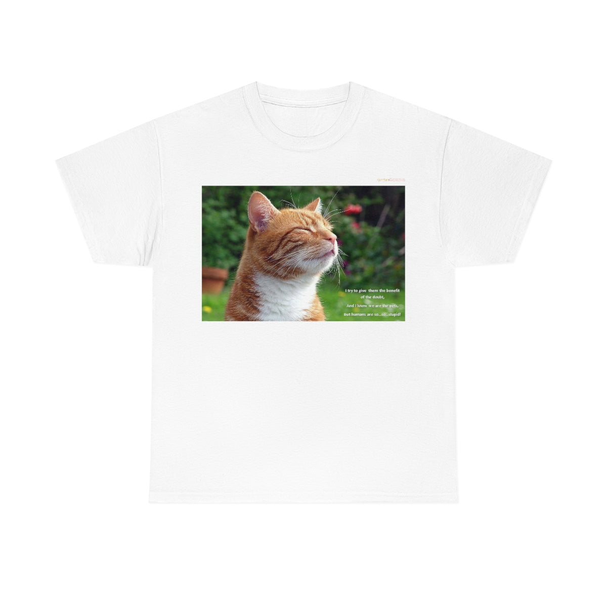 Wisdom of Cats #1 T-Shirt