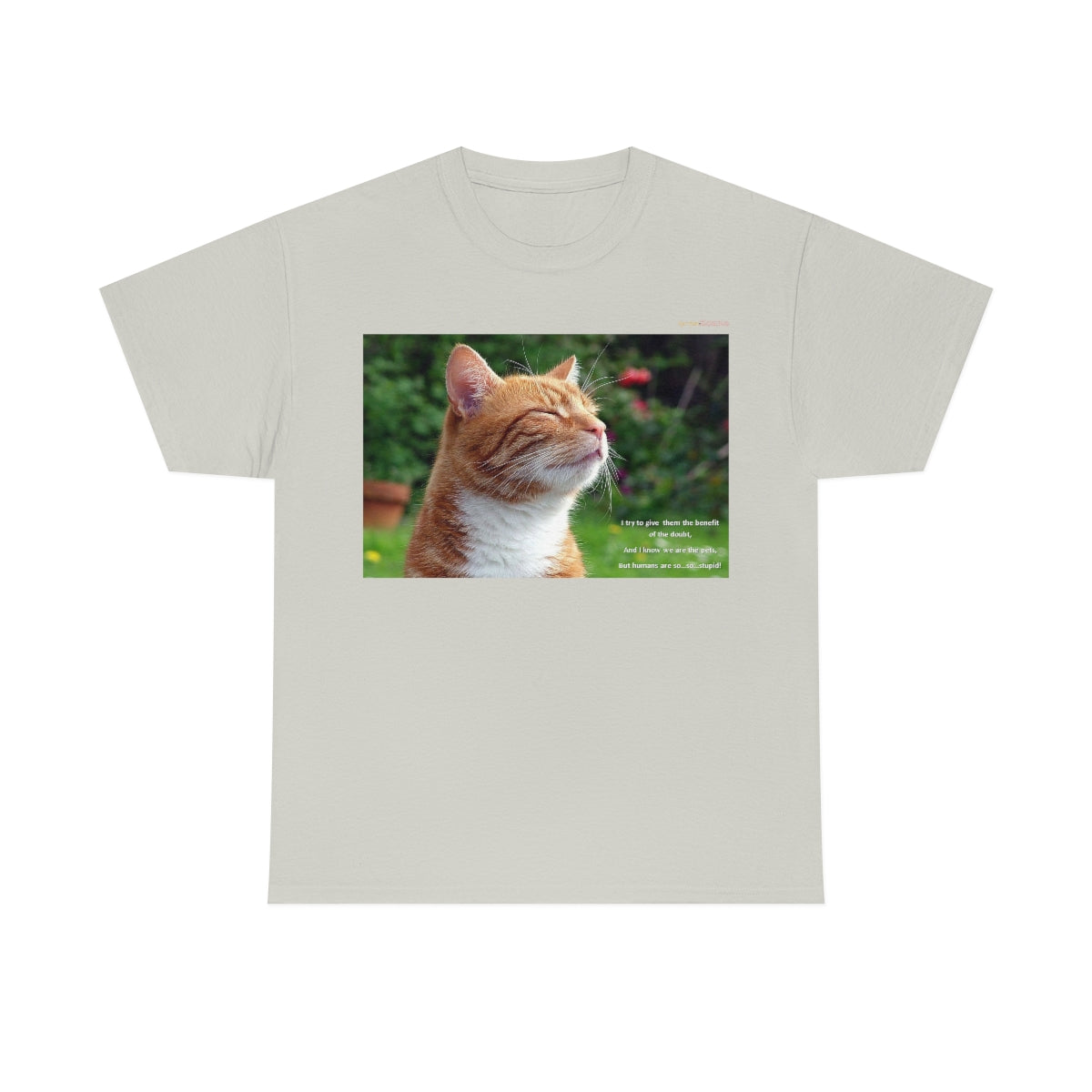 Wisdom of Cats #1 T-Shirt