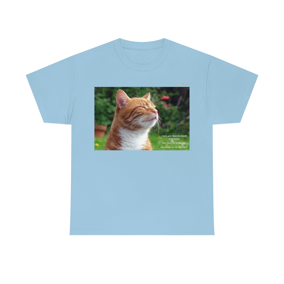 Wisdom of Cats #1 T-Shirt