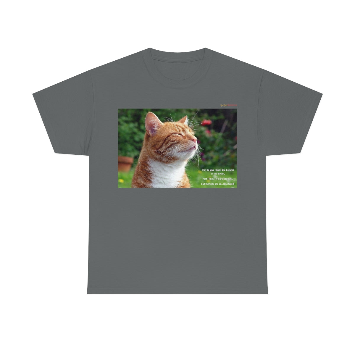 Wisdom of Cats #1 T-Shirt