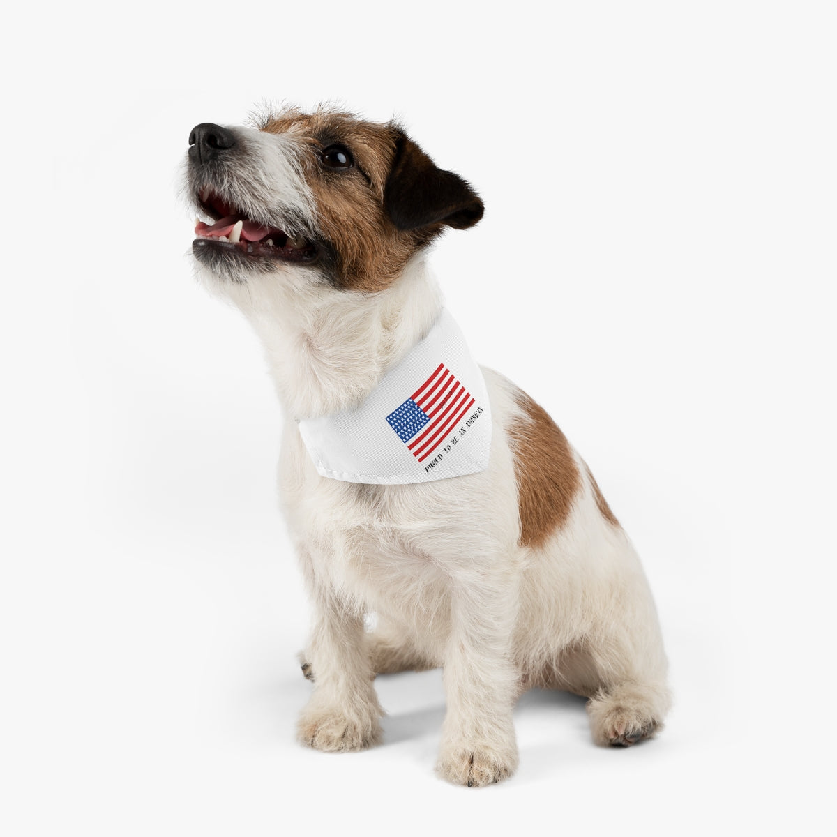 American Independence Pet Bandana Collar