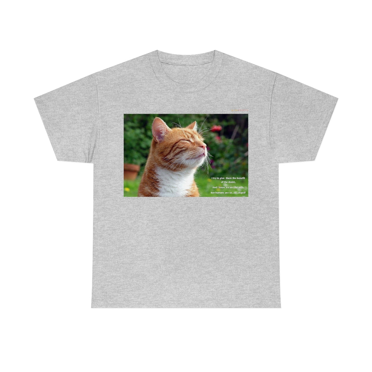 Wisdom of Cats #1 T-Shirt